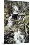 Bear Creek Crossing-Jeff Tift-Mounted Giclee Print