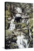 Bear Creek Crossing-Jeff Tift-Stretched Canvas