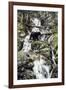 Bear Creek Crossing-Jeff Tift-Framed Giclee Print