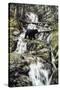 Bear Creek Crossing-Jeff Tift-Stretched Canvas