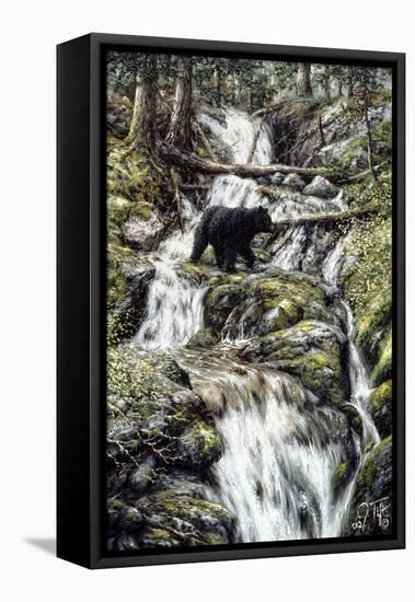 Bear Creek Crossing-Jeff Tift-Framed Stretched Canvas