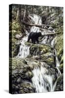 Bear Creek Crossing-Jeff Tift-Stretched Canvas