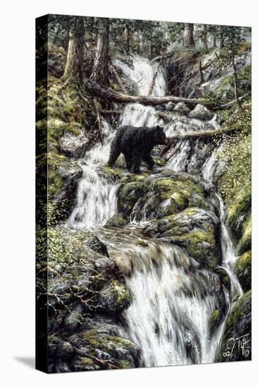 Bear Creek Crossing-Jeff Tift-Stretched Canvas