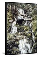 Bear Creek Crossing-Jeff Tift-Framed Stretched Canvas