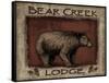 Bear Creek - Mini-Todd Williams-Framed Stretched Canvas