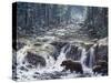 Bear Crossing-Jeff Tift-Stretched Canvas