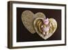 Bear Cupid-null-Framed Photographic Print