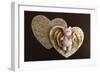 Bear Cupid-null-Framed Photographic Print