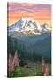 Bear Family and Spring Flowers (Rainier Background)-Lantern Press-Stretched Canvas