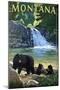 Bear Family and Waterfall - Montana-Lantern Press-Mounted Art Print