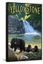 Bear Family - Yellowstone-Lantern Press-Framed Stretched Canvas