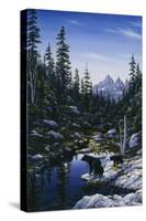 Bear Family-Jeff Tift-Stretched Canvas
