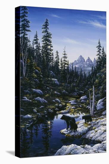 Bear Family-Jeff Tift-Stretched Canvas
