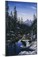 Bear Family-Jeff Tift-Mounted Giclee Print