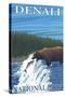 Bear Fishing in River, Denali National Park, Alaska-Lantern Press-Stretched Canvas