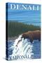 Bear Fishing in River, Denali National Park, Alaska-Lantern Press-Stretched Canvas