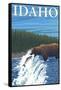 Bear Fishing in River, Idaho-Lantern Press-Framed Stretched Canvas