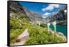 Bear Grass Flowers Above Lake Ellen Wilson in Glacier NP, Montana-James White-Framed Stretched Canvas
