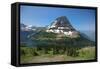 Bear Hat Mountain, Glacier National Park, Montana, USA-Roddy Scheer-Framed Stretched Canvas