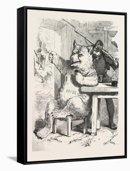 Bear Having a Glass of Wine-null-Framed Stretched Canvas