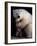Bear Hug-Rick Egan-Framed Art Print