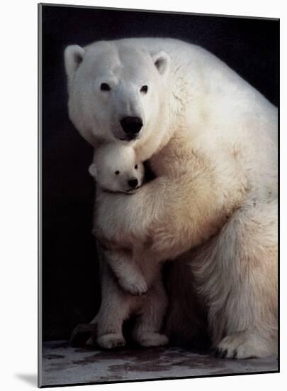 Bear Hug-Rick Egan-Mounted Art Print