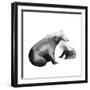 Bear Hug-null-Framed Giclee Print