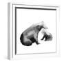 Bear Hug-null-Framed Giclee Print