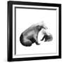 Bear Hug-null-Framed Giclee Print