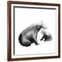 Bear Hug-null-Framed Giclee Print