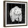 Bear Hug-OnRei-Framed Premium Giclee Print