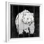 Bear Hug-OnRei-Framed Premium Giclee Print