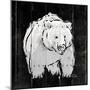 Bear Hug-OnRei-Mounted Premium Giclee Print