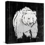 Bear Hug-OnRei-Stretched Canvas