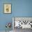 Bear Hugs-Debbie McMaster-Framed Giclee Print displayed on a wall