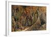 Bear Hunters-Bill Bell-Framed Giclee Print