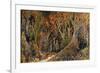 Bear Hunters-Bill Bell-Framed Giclee Print
