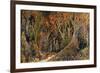 Bear Hunters-Bill Bell-Framed Giclee Print