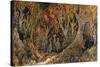 Bear Hunters-Bill Bell-Stretched Canvas