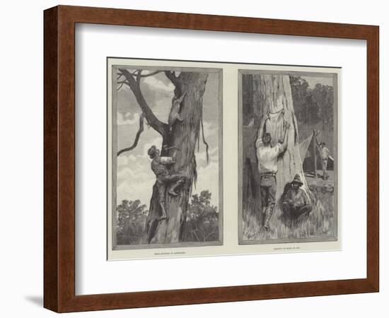 Bear Hunting in Australia-null-Framed Giclee Print