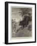 Bear Hunting in Cashmere, a Run for Life-John Charlton-Framed Giclee Print