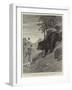 Bear Hunting in Cashmere, a Run for Life-John Charlton-Framed Giclee Print