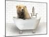 Bear In Bathtub-Matthew Piotrowicz-Mounted Art Print