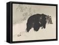 Canvas Black