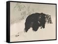 Canvas Black