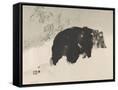Canvas Black