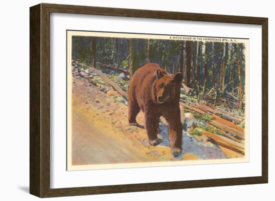 Bear in the Adirondack, New York-null-Framed Art Print