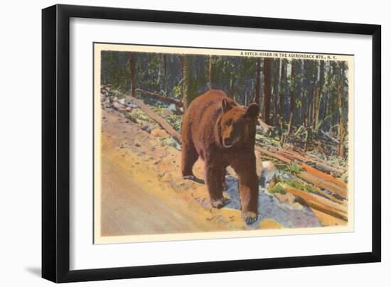Bear in the Adirondack, New York-null-Framed Art Print