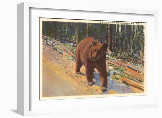 Bear in the Adirondack, New York-null-Framed Art Print