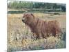 Bear in the Field-Tim OToole-Mounted Art Print